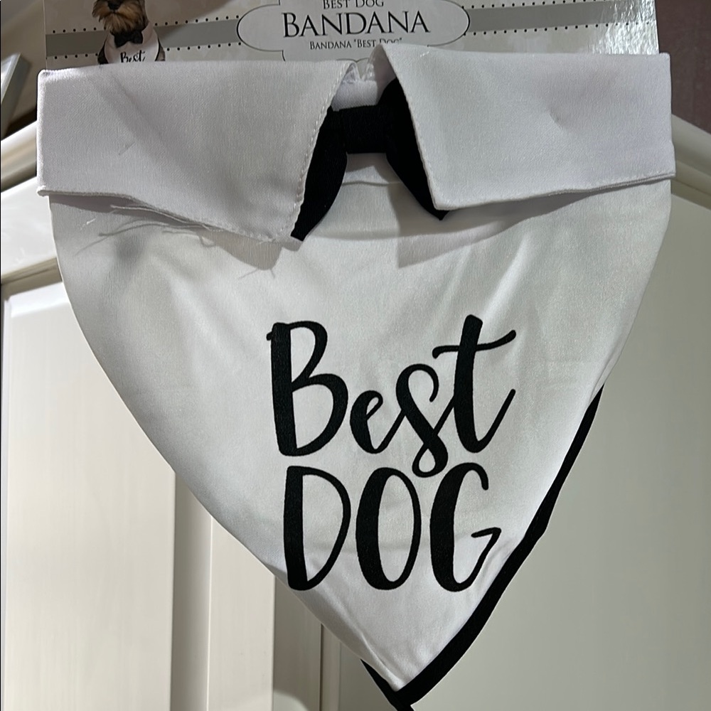 Best Dog Bandana - White Bridal Party